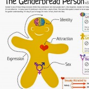 Gender Confusion in Our Schools