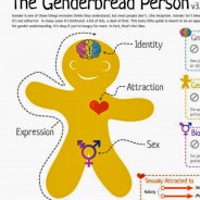 Gender Confusion in Our Schools